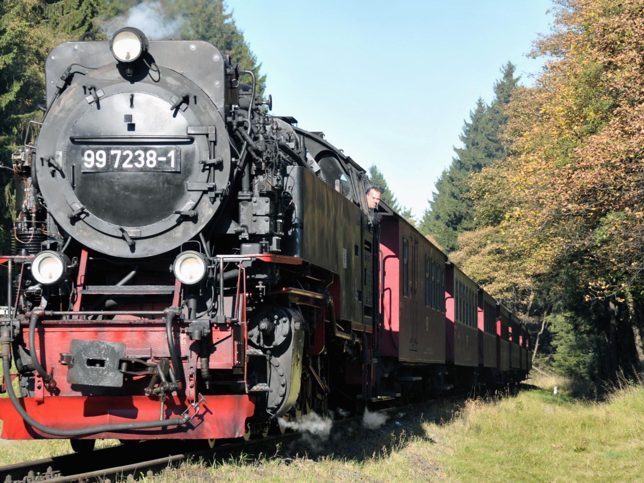 Una locomotora de vapor con el número 99 7238-1 remolcando un tren de pasajeros por una zona boscosa.