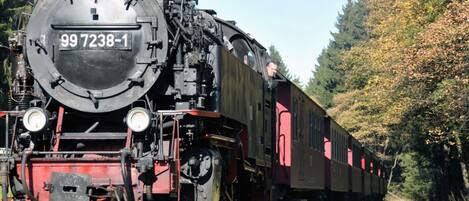 Una locomotora de vapor con el número 99 7238-1 remolcando un tren de pasajeros por una zona boscosa.