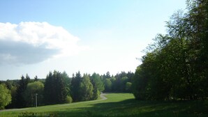 Een geplaveid pad dat door een park loopt, met een kronkelende weg en weelderige bomen.