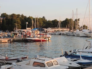 Marina