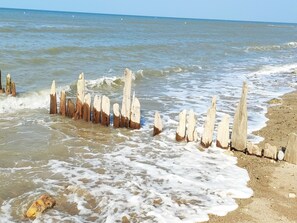 Beach - Wohnung les Althéas in Villers-sur-Mer by Interhome (Villers sur mer)