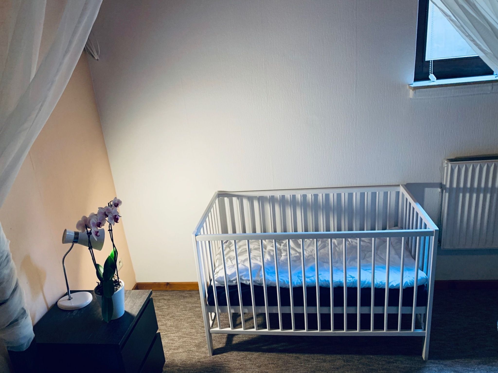 A white crib in a room with a window, a radiator, and a plant on a small table.