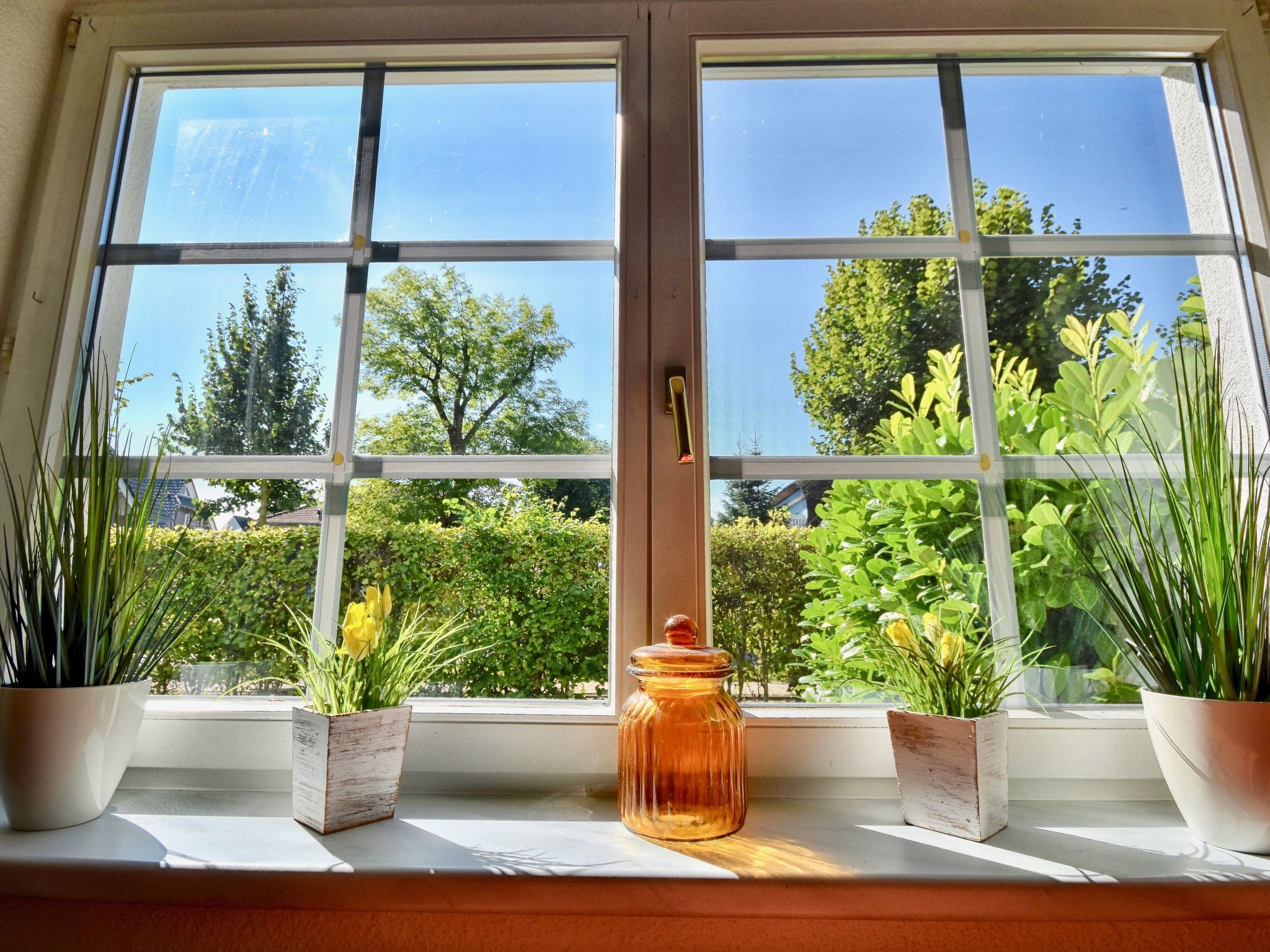 Ein Fenster mit Blick auf Grün und einem Glas auf dem Sims.