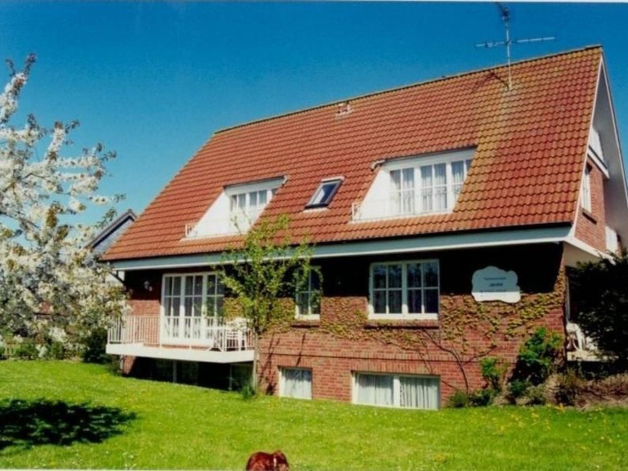 Udendørsområde
