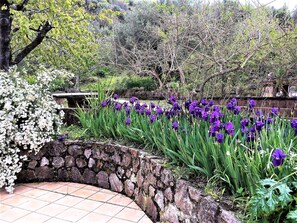Property grounds - Flache Limone by Interhome (Gioiosa Marea)