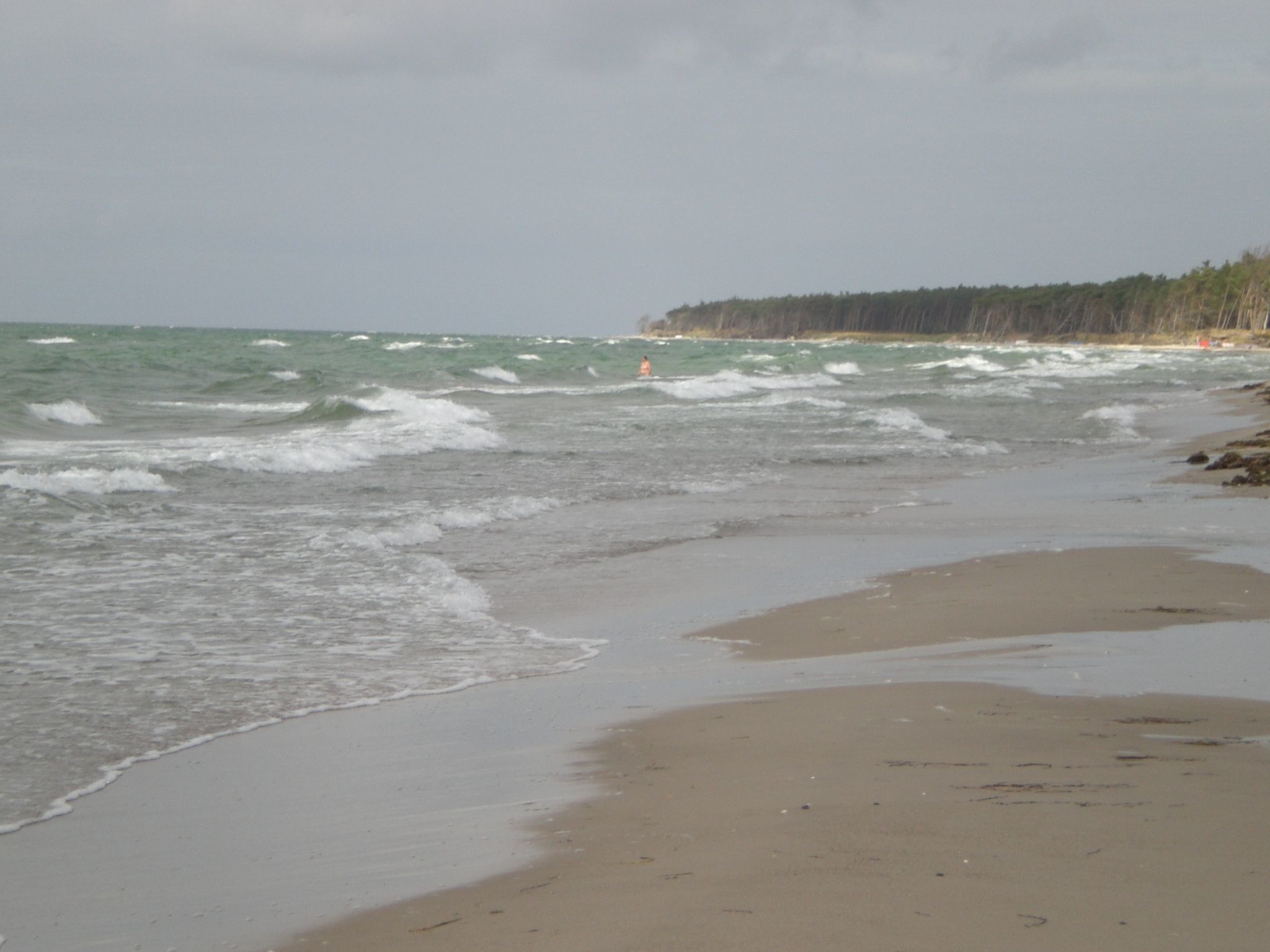 A beach with waves, a sandy shore, and a forested hill in the background.