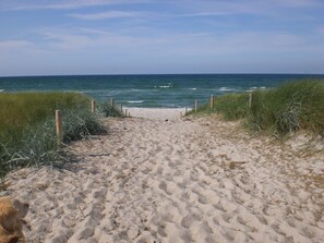 A sandy beach path leading to the ocean with grass on either side. - Appartement Achtern-Diek-am-Strand in Zingst by Interhome (Ostseebad Zingst)