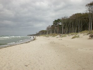 Beach - Appartement Achtern-Diek-am-Strand in Zingst by Interhome (Ostseebad Zingst)