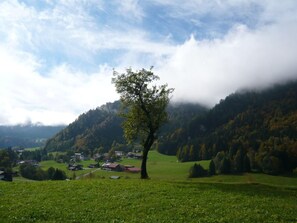 Miscellaneous - Falkenberg Wh 218 by Interhome (Oberstdorf)