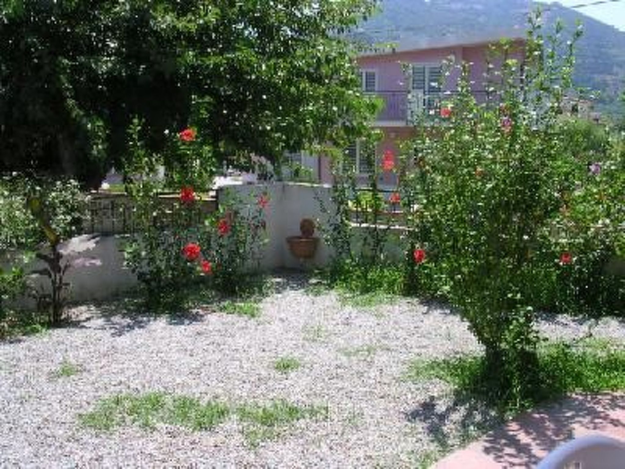 المنطقة المحيطة بالمنشأة