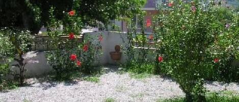 المنطقة المحيطة بالمنشأة