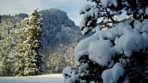 Un paisaje nevado con una montaña al fondo y un árbol cubierto de nieve en primer plano.