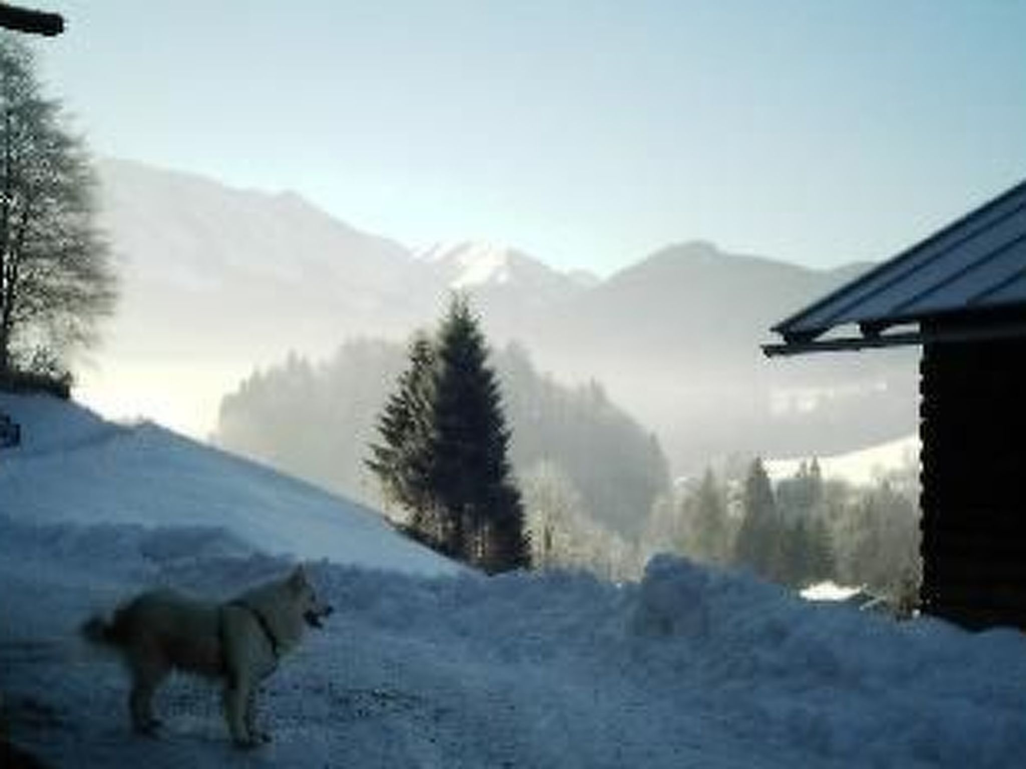 Schneebedeckte Landschaft mit einem Hund, der auf einem Hang steht, einer Holzhütte und Bergen im Hintergrund.