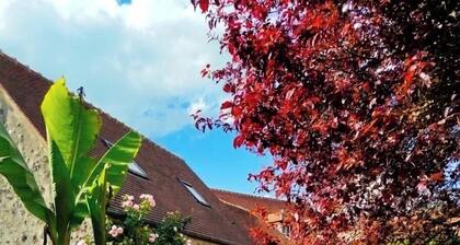 Chez Cilia Gîte bucolique 3*, jardin privé et sentier | Senlis Chantilly Astérix