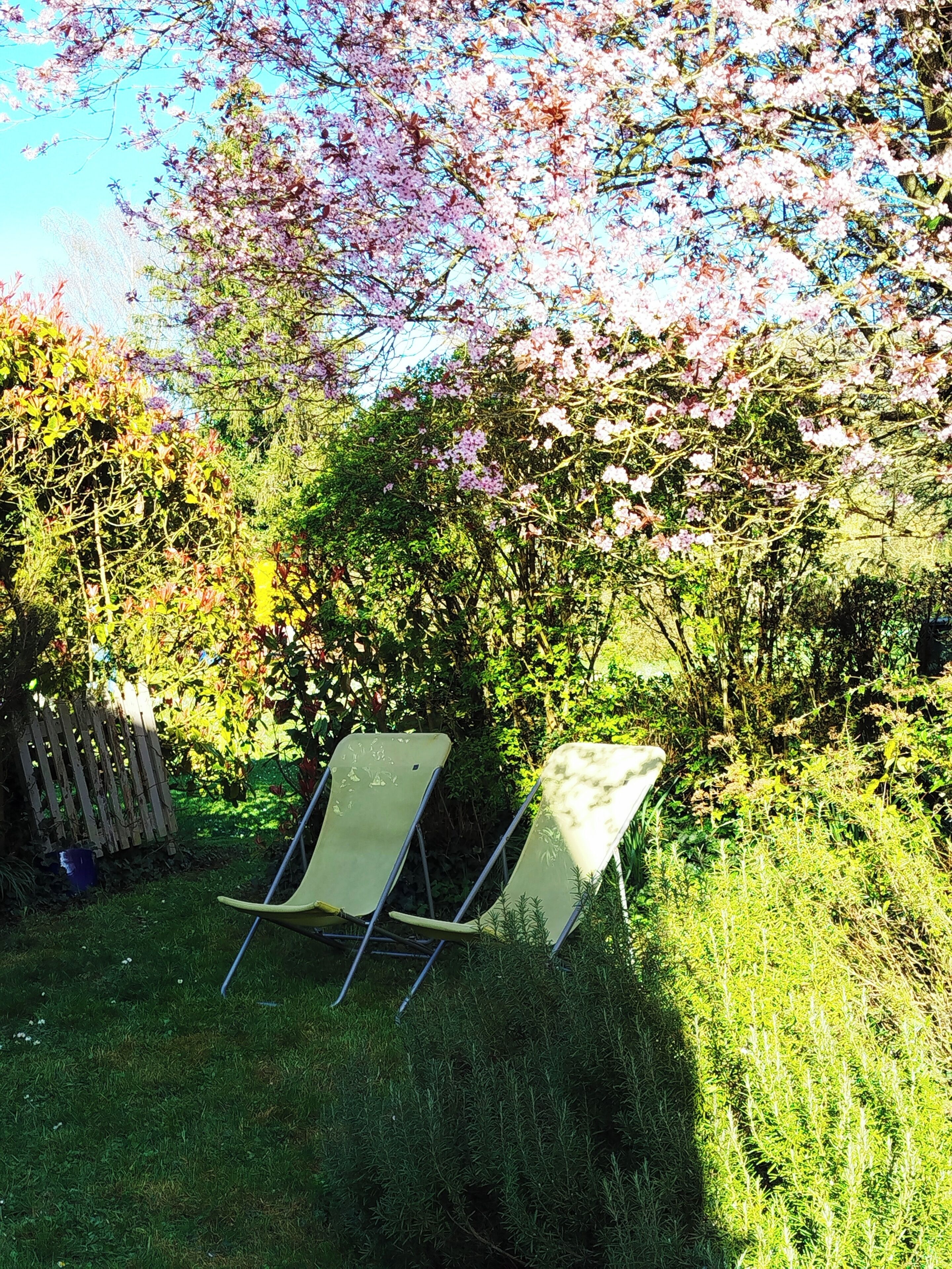 A garden with a lawn, a wooden fence, and two lawn chairs.