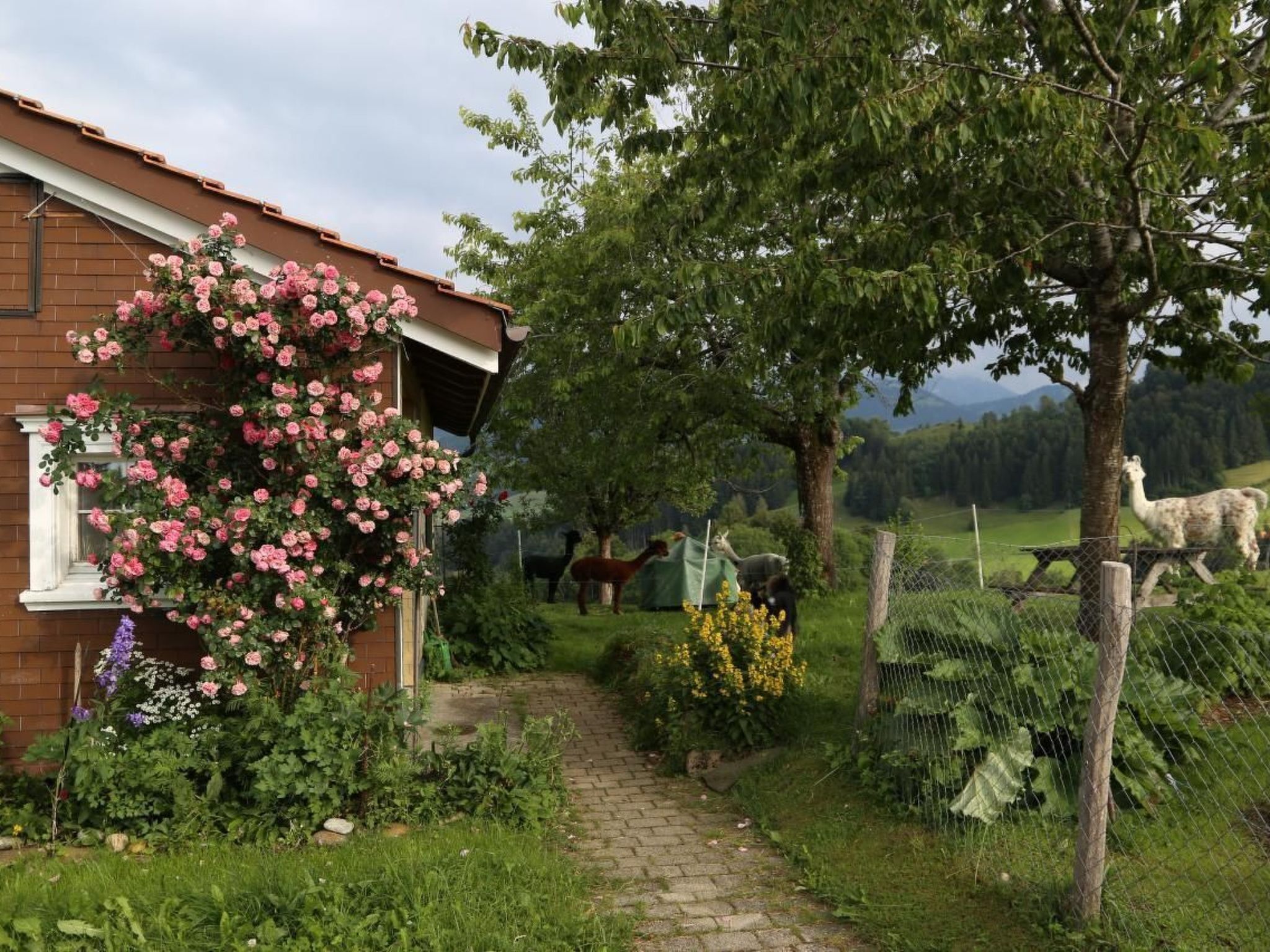 المنطقة المحيطة بالمنشأة