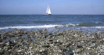 "Buurtweg185" mit Whirlpool by Interhome