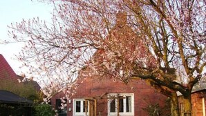A red brick house with a garden, a wooden fence, and a tree with pink blossoms. - in Norden mit großem Garten by Interhome (Norden)