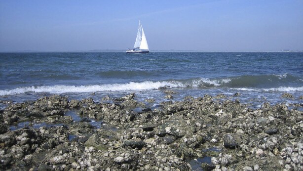 Eine felsige Küste mit einem Segelboot auf dem Wasser.