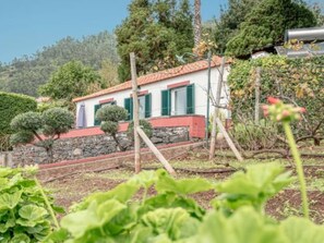 Property grounds - Historische Quinta Vista Mar in Arco A by Interhome (Arco da Calheta)