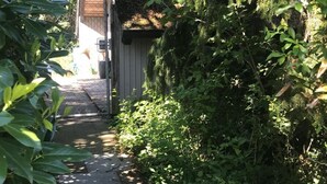 Een smal pad dat leidt naar een houten gebouw met een schuin dak, omgeven door weelderige begroeiing en bomen.
