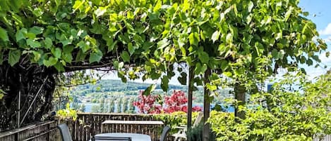 Um pátio com mesa e cadeiras, rodeado por vegetação e vista para um lago e colinas.