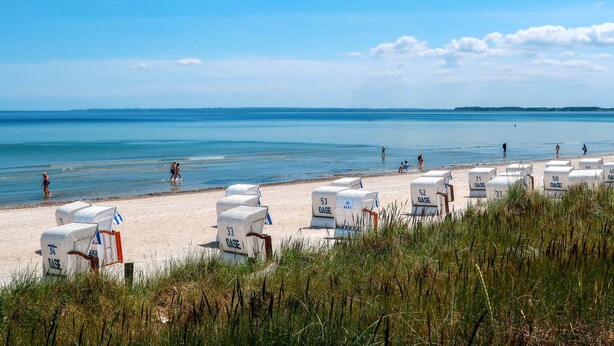 A beach with rows of white beach chairs and umbrellas, a sandy shore, and the sea in the background. - in Klingberg mit Seeblick by Interhome (Scharbeutz)