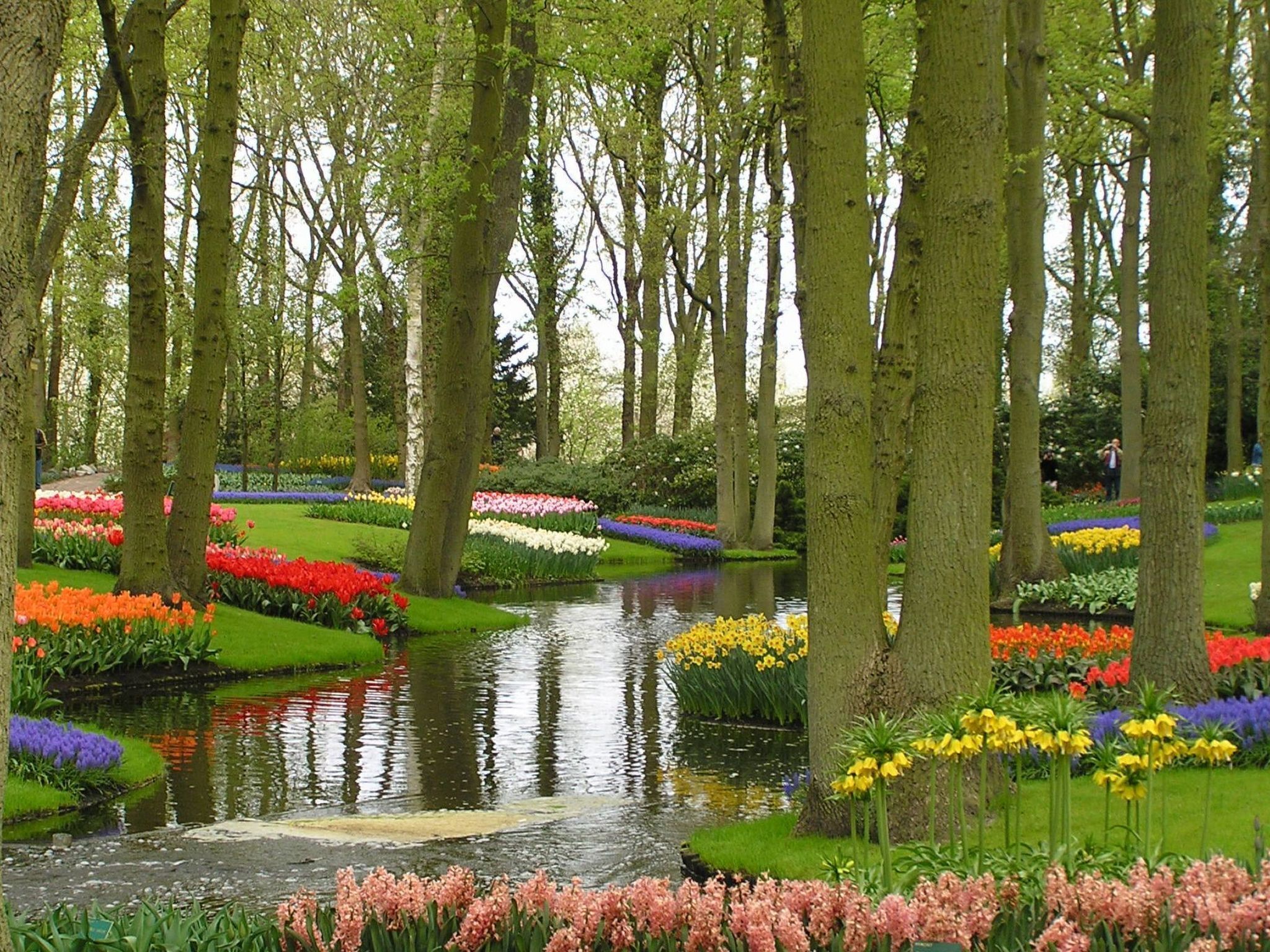 Àrea exterior de l'allotjament