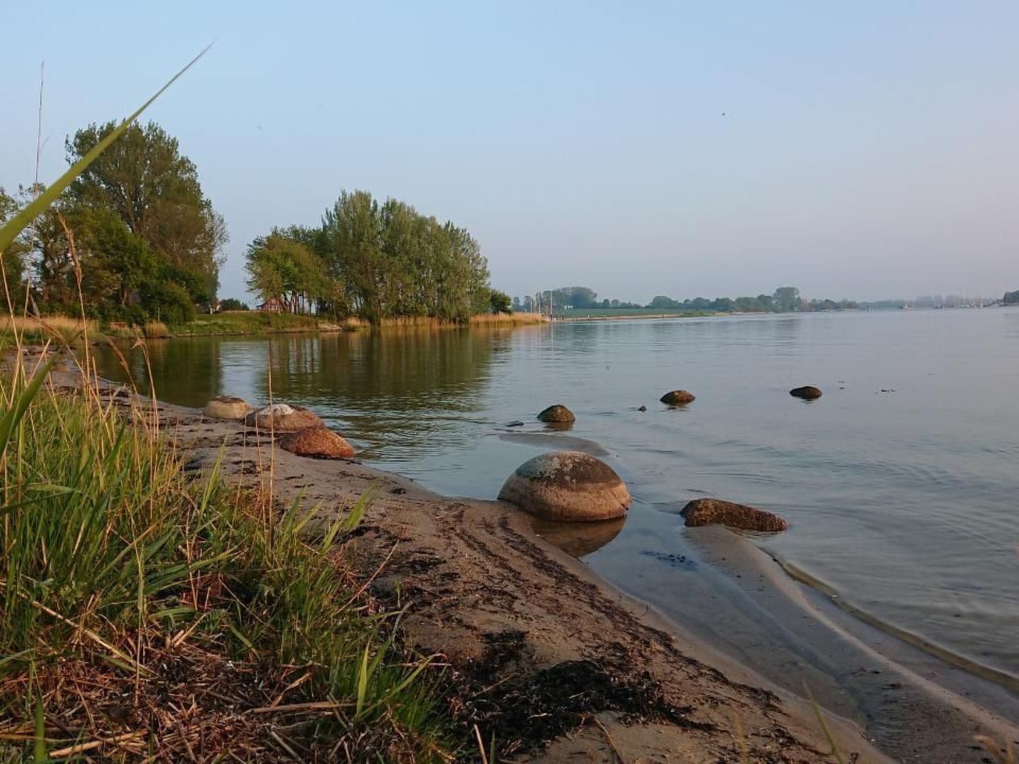 A riverside view with calm water, rocks, and trees.