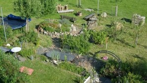 Ein ländliches Anwesen mit einem kleinen Teich, einer Holzterrasse und verschiedenen Pflanzen und Bäumen.