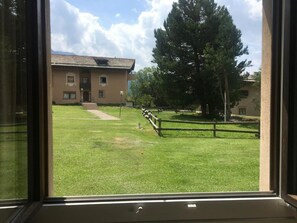 Blick durch ein Fenster auf ein Gebäude mit einer Rasenfläche, einem Holzzaun und einem großen Baum.
