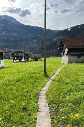 Terrein van de accommodatie