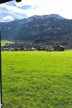 Terrain de l’hébergement 