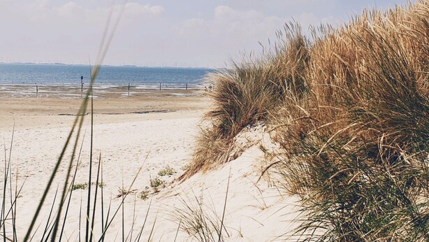 A sandy beach with dunes and a clear view of the sea. - Landskron by Interhome (Friederikensiel)