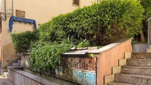 Property grounds - Haus Martina by Interhome (Castelmola)