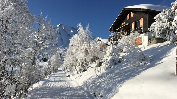 Ein verschneiter Bergpfad führt zu einer Chalet mit Holzfassade und einem mit Schnee bedeckten Dach.