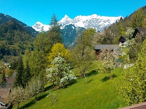 Terrain de l’hébergement 