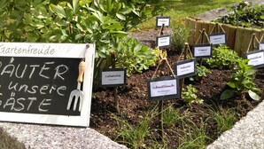 A garden with various labeled plants and a signboard with a fork and knife. - "Idylle by Interhome (Walchsee)