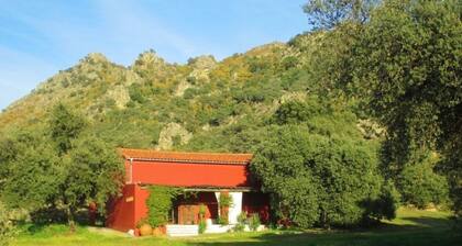 The Barn at Finca al-manzil by Interhome