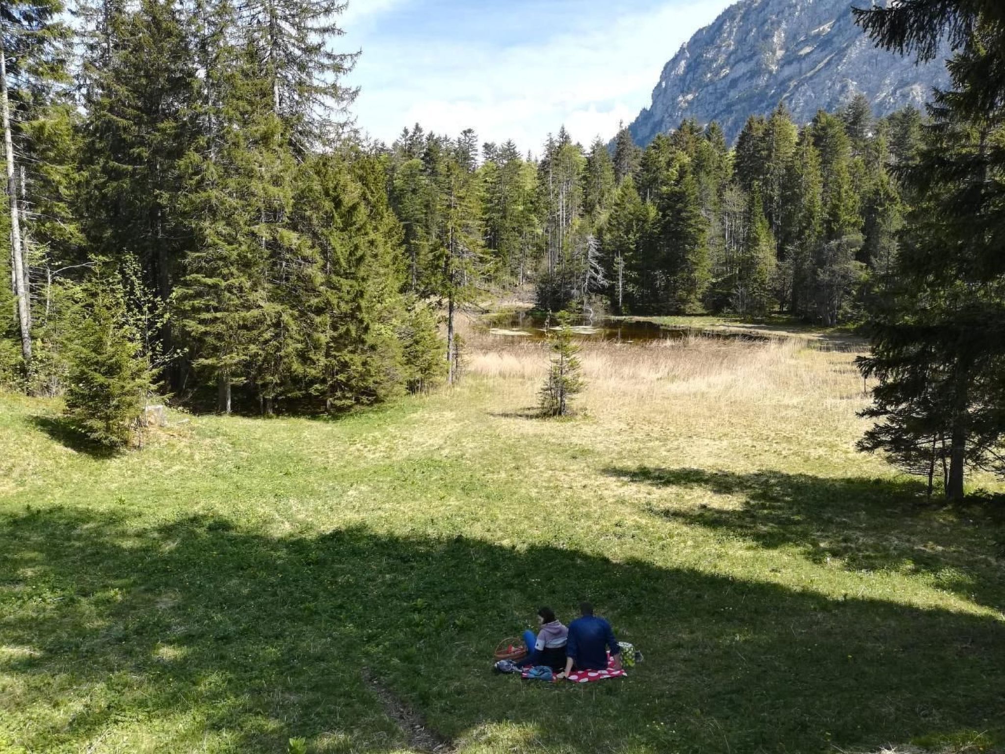 Un campo cubierto de césped con dos personas sentadas sobre una manta, rodeado de árboles y una montaña al fondo.