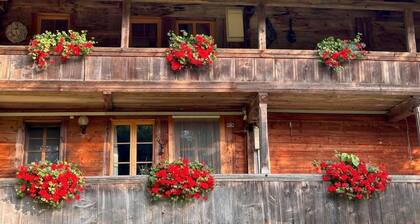 Wohnung Niesenblick by Interhome