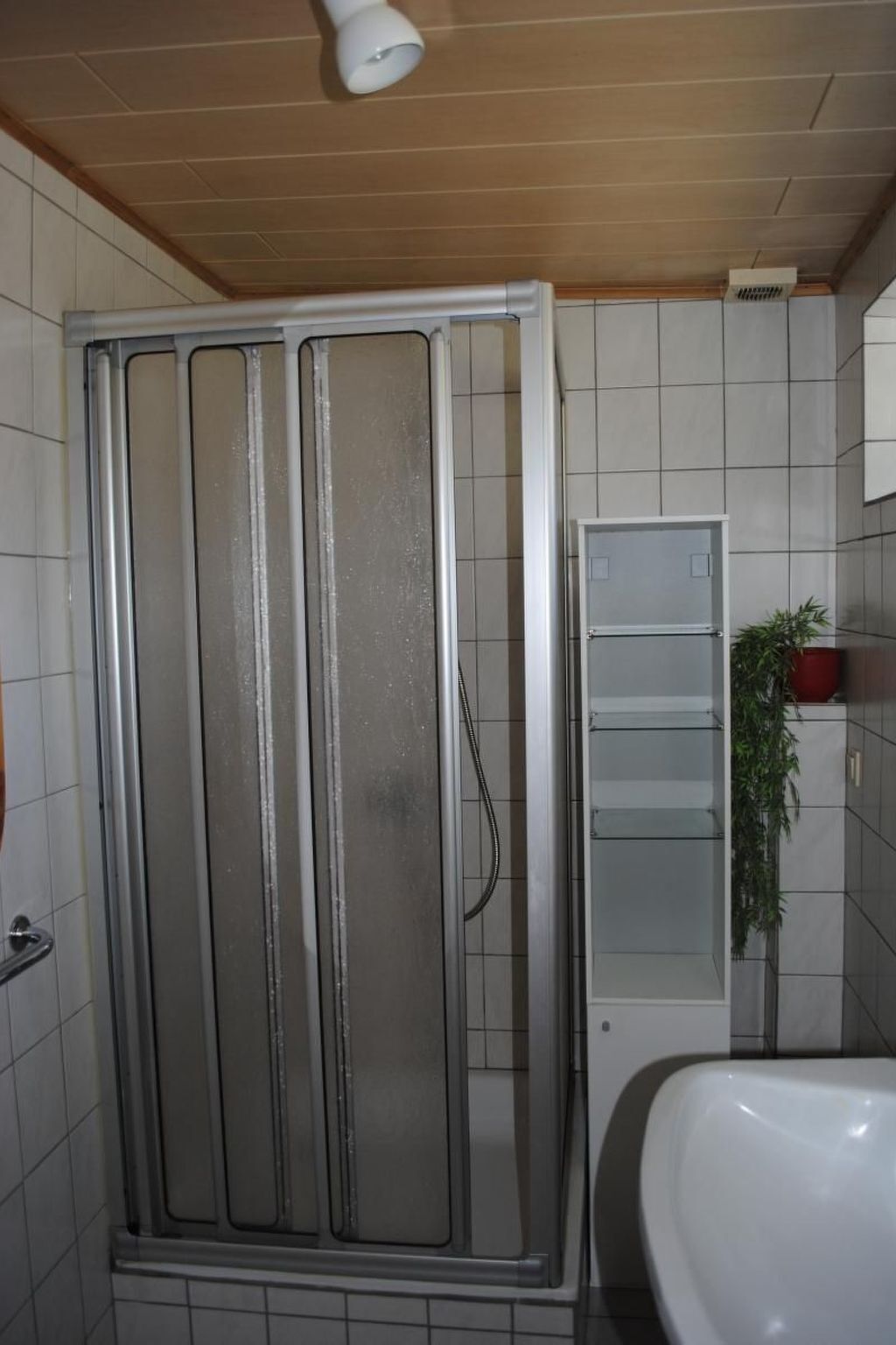 Ein Badezimmer mit Duschkabine, Waschbecken und einem Topf mit Pflanze.