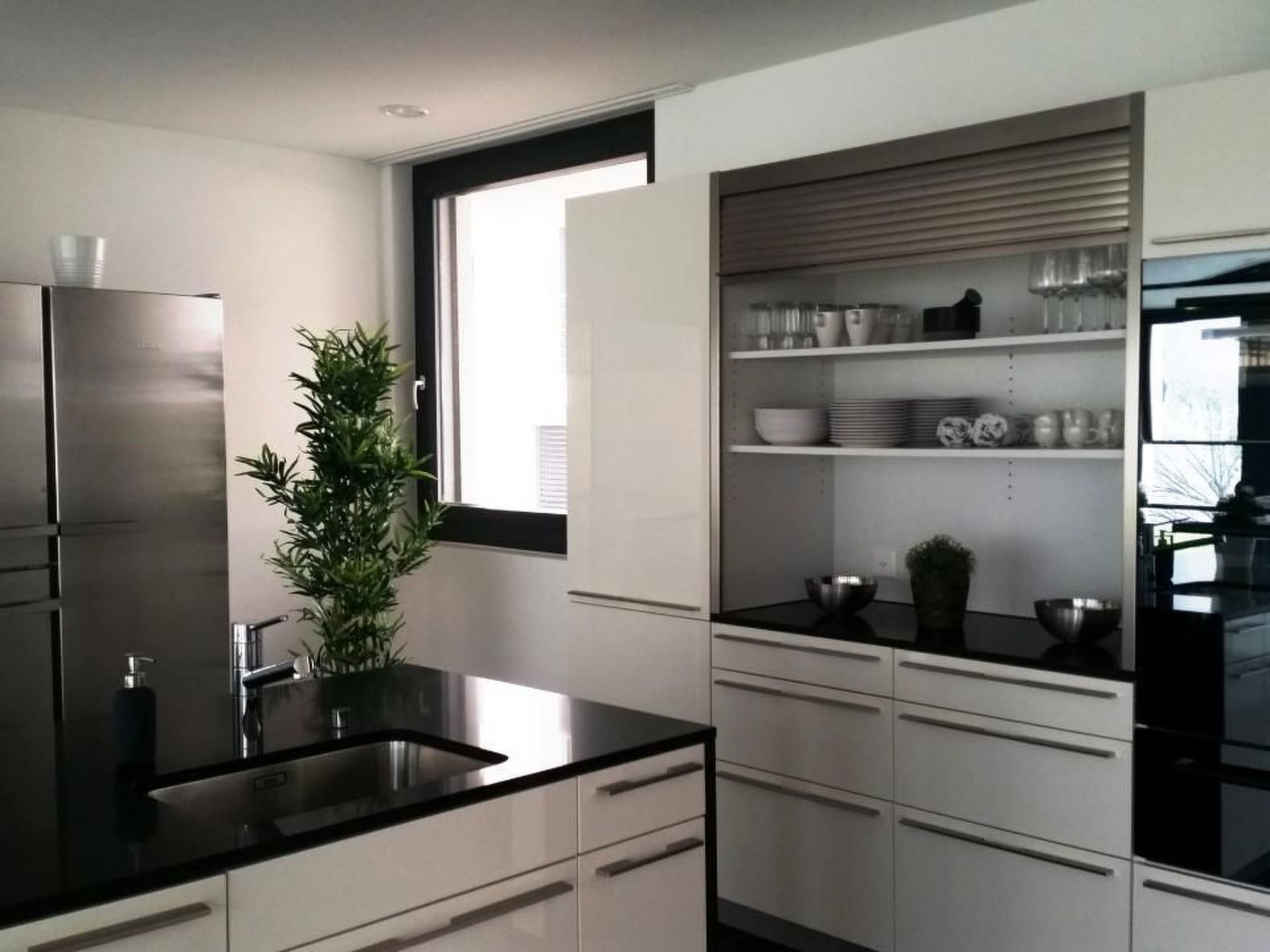 Fridge, oven, dishwasher, cookware/dishes/utensils