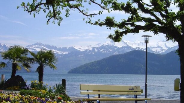 A bench by a lake with mountains in the background. - Studio "Rubi" Weggis by Interhome (Weggis)