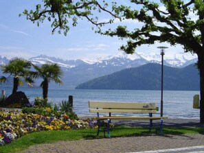 A bench by a lake with mountains in the background. - Studio "Rubi" Weggis by Interhome (Weggis)