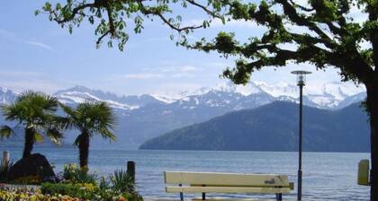 Studio "Rubi" Weggis by Interhome