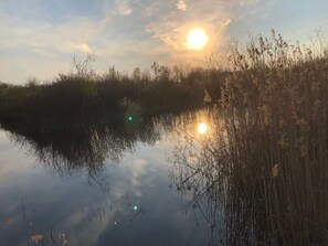 A calm body of water reflecting the sky and surrounding vegetation.