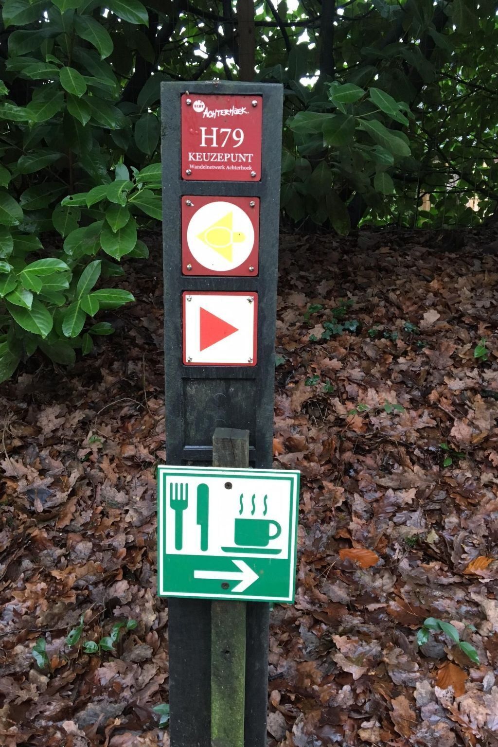 Un letrero direccional con símbolos que señalan un sendero para caminatas, un área de picnic y un camping.