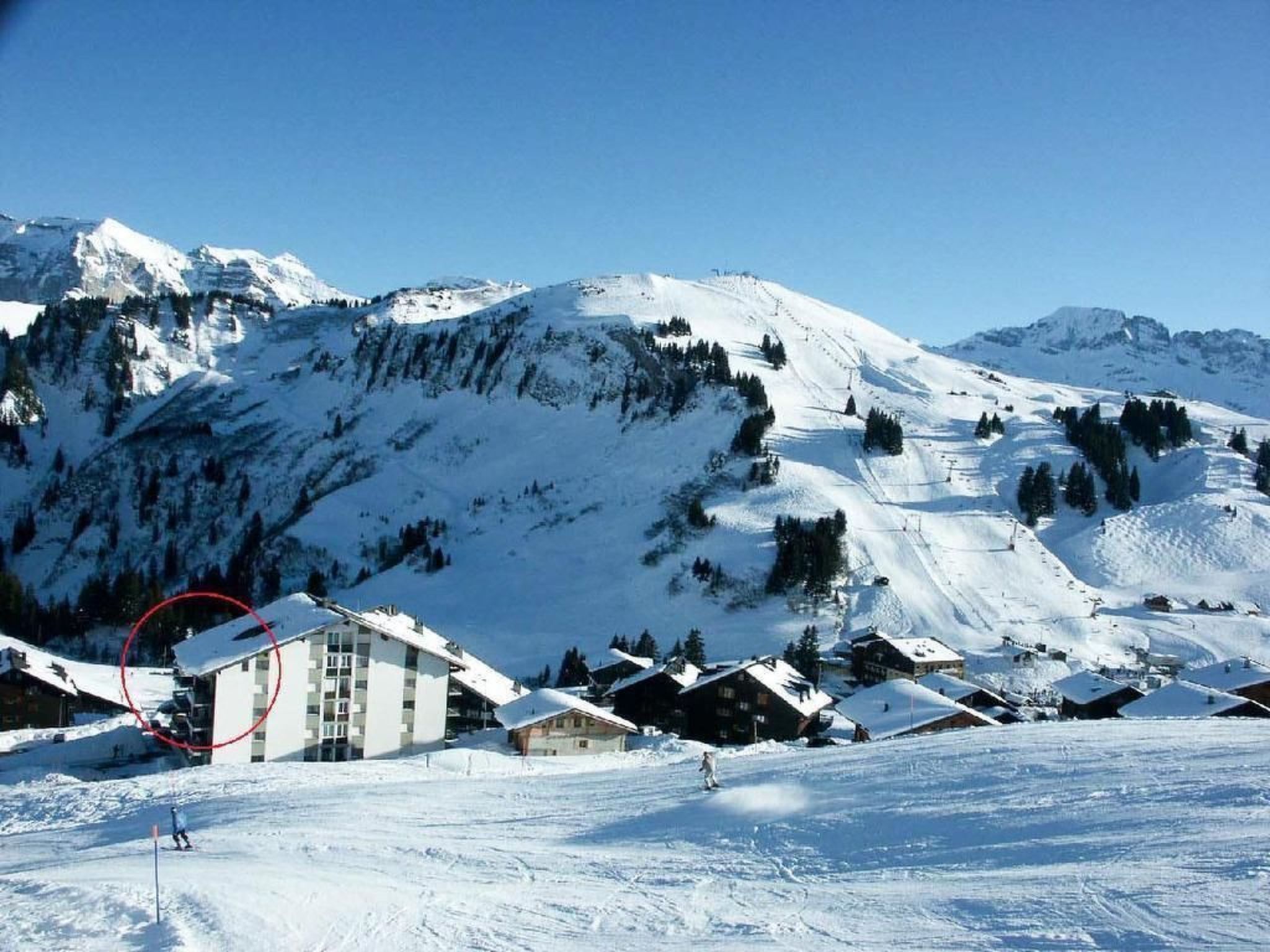 Snø- og skisport