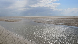 Uma praia com areia molhada e céu claro.